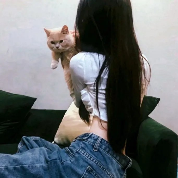 追忆维茨托克